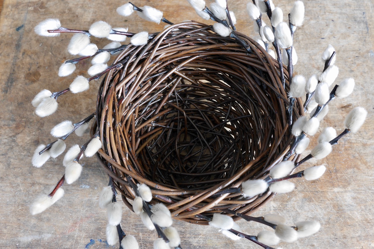 Catkin Bowl