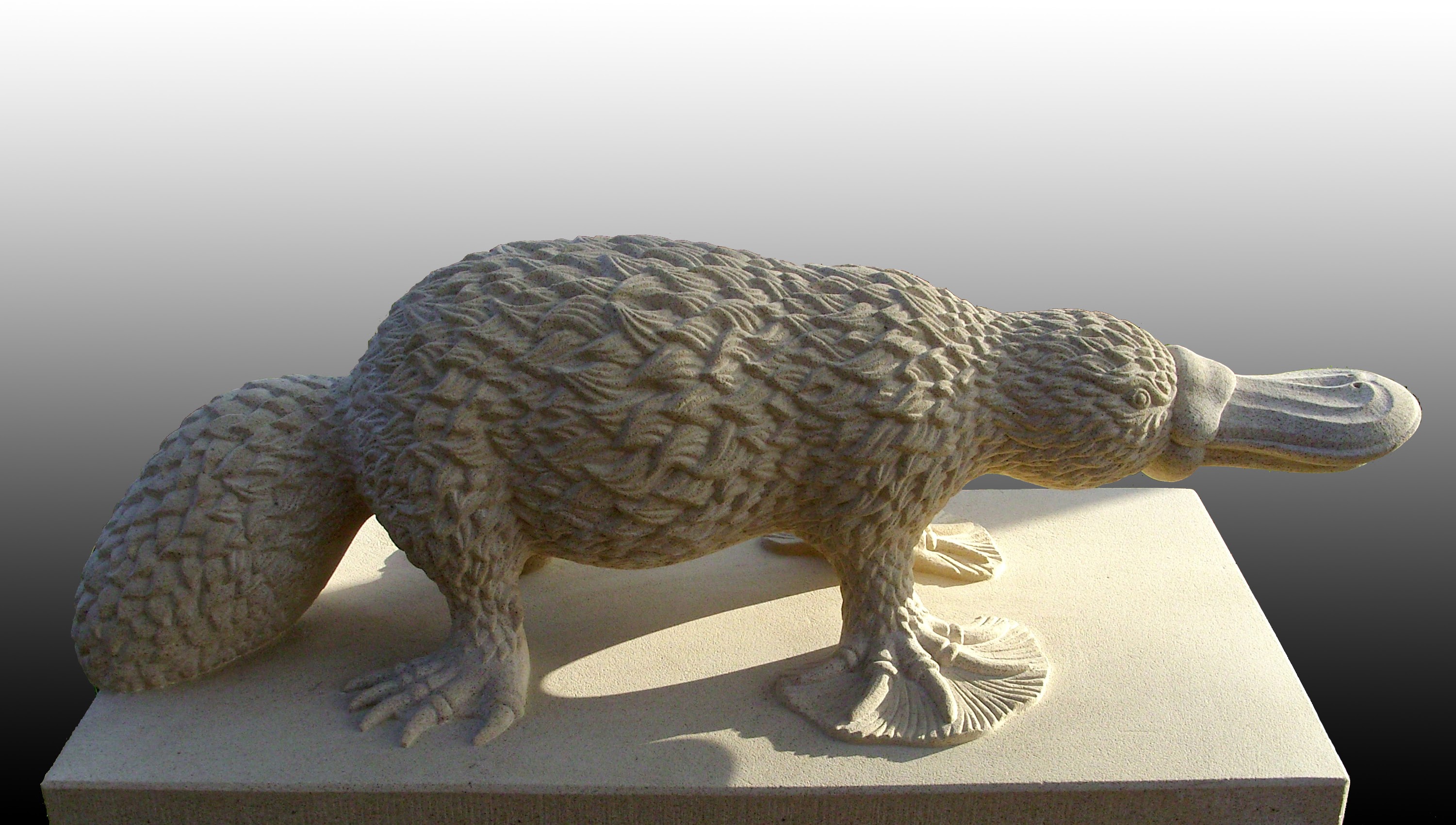 Platypus