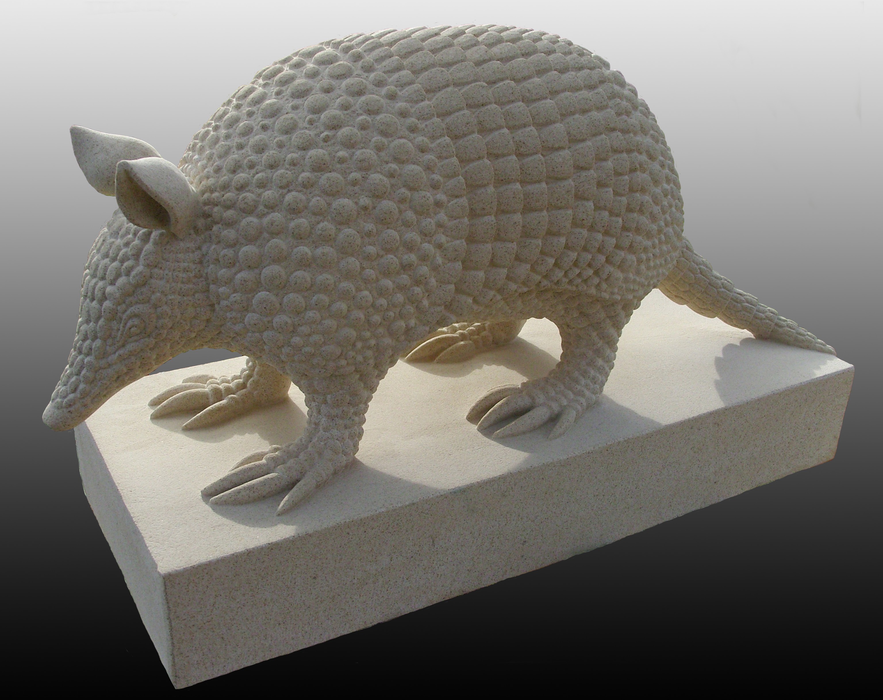 Armadillo