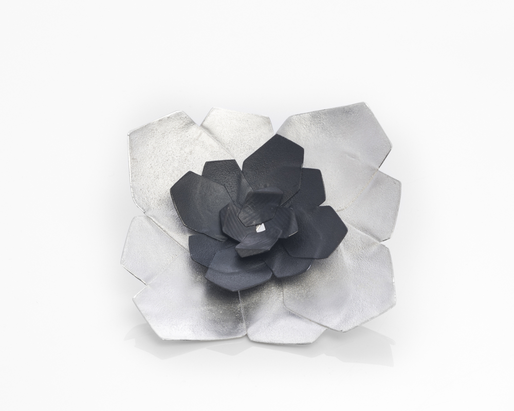 'Double Hydrangea'