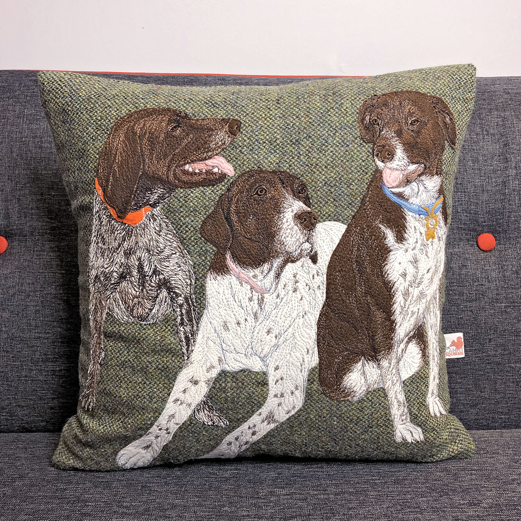 Pet portraits