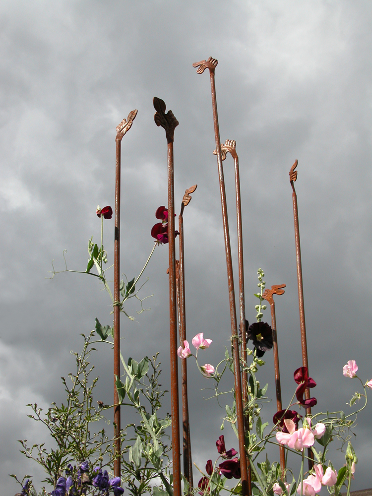 Andrea Geile, Sweetpea Stakes