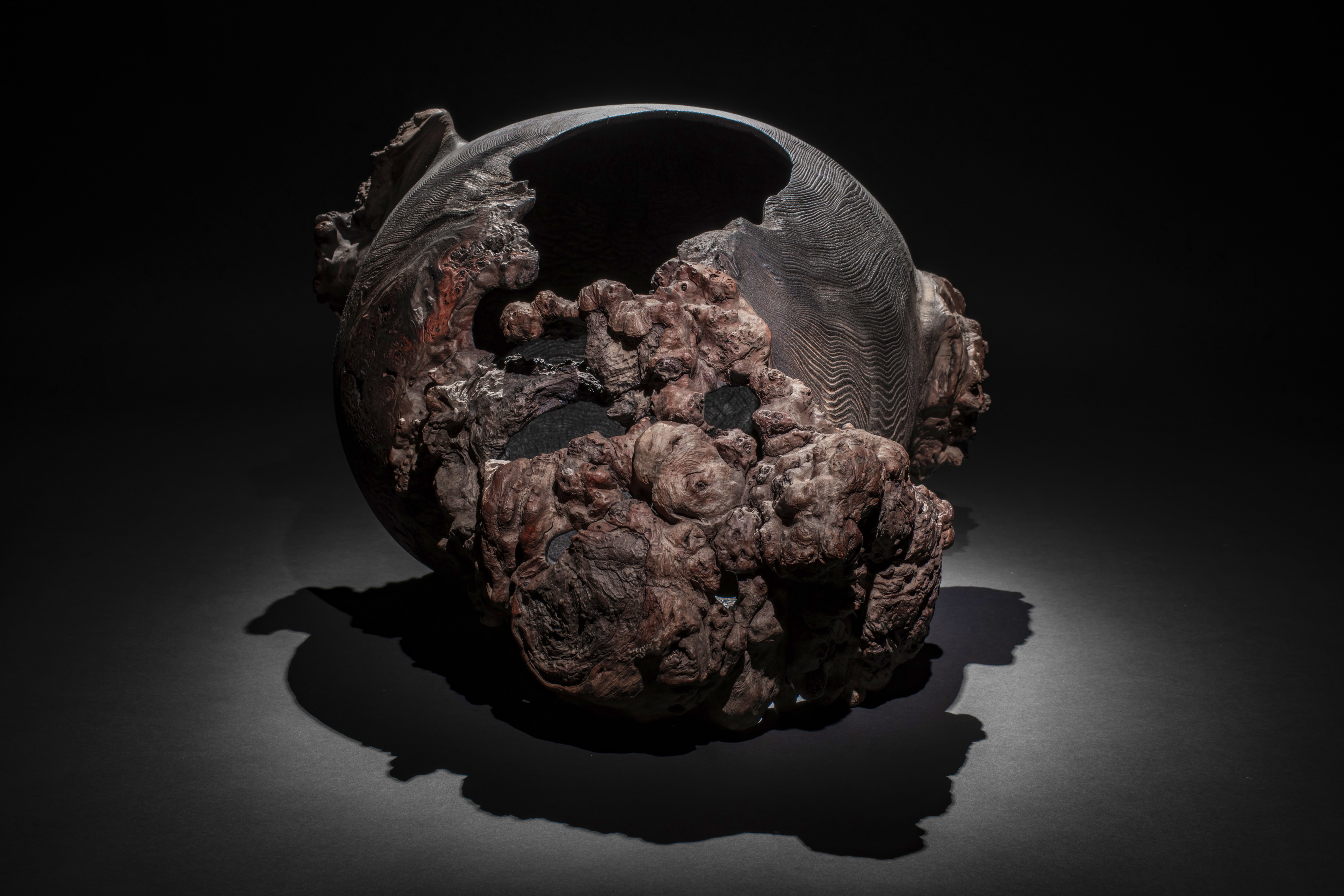 Wych Elm Moon Jar