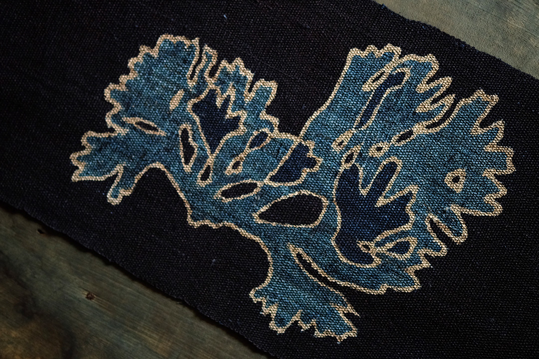 Seaweed 2