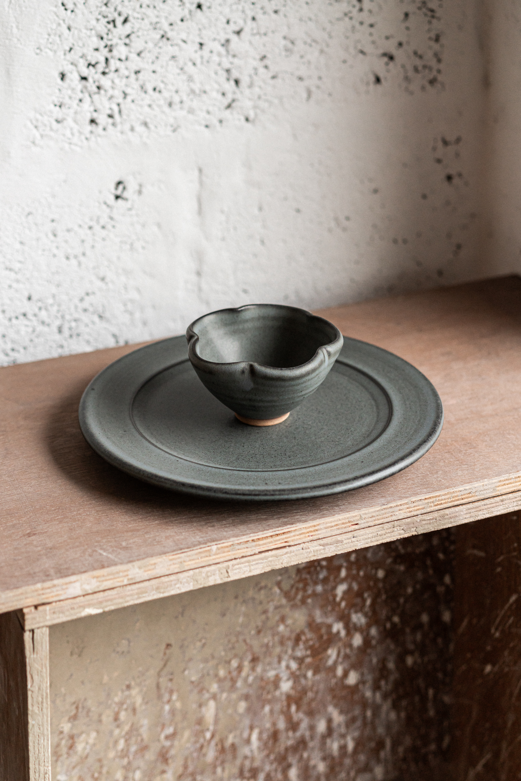Rimmed Plate and Indented Bowl