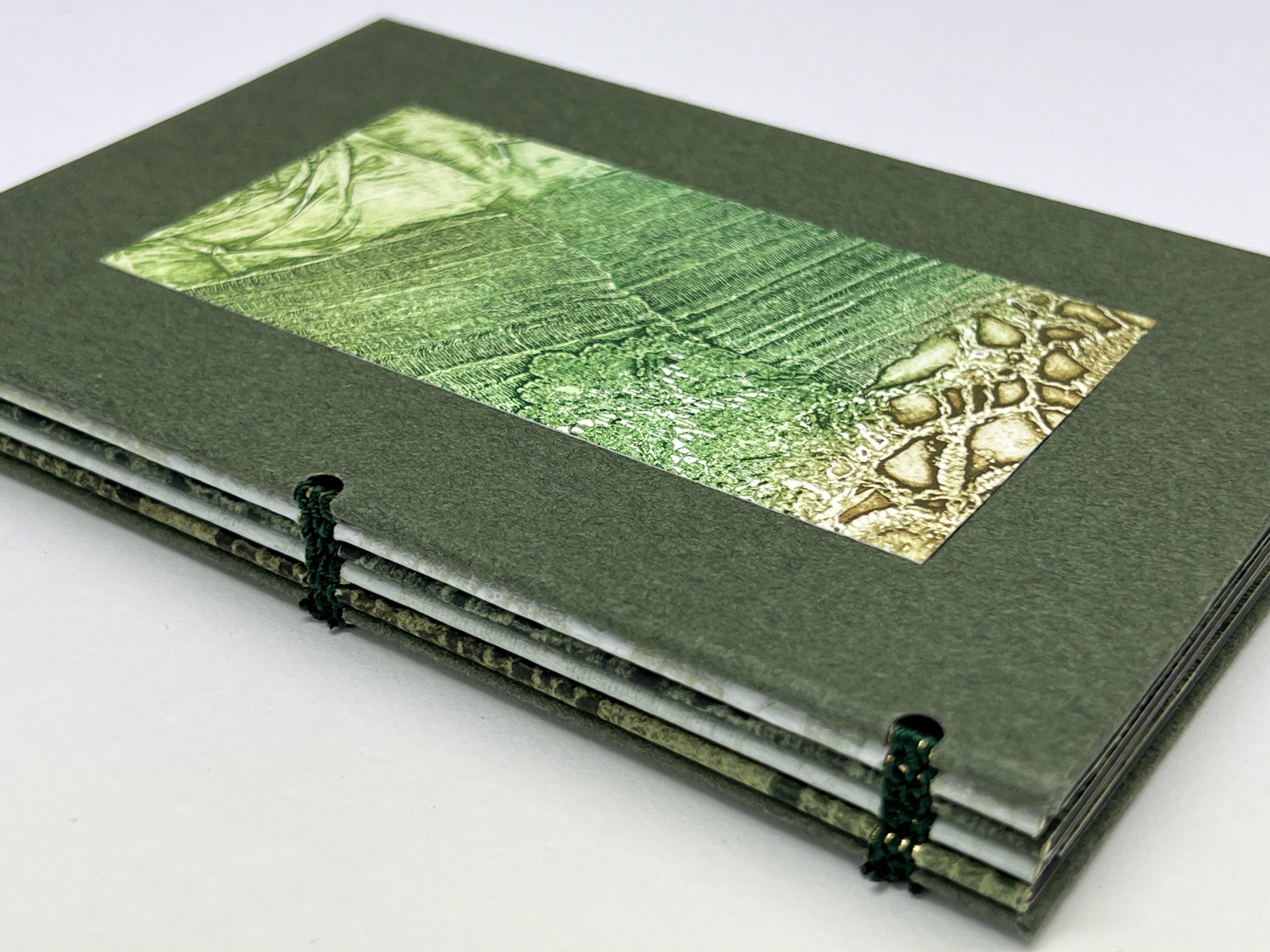 Verdant Impressions (book)