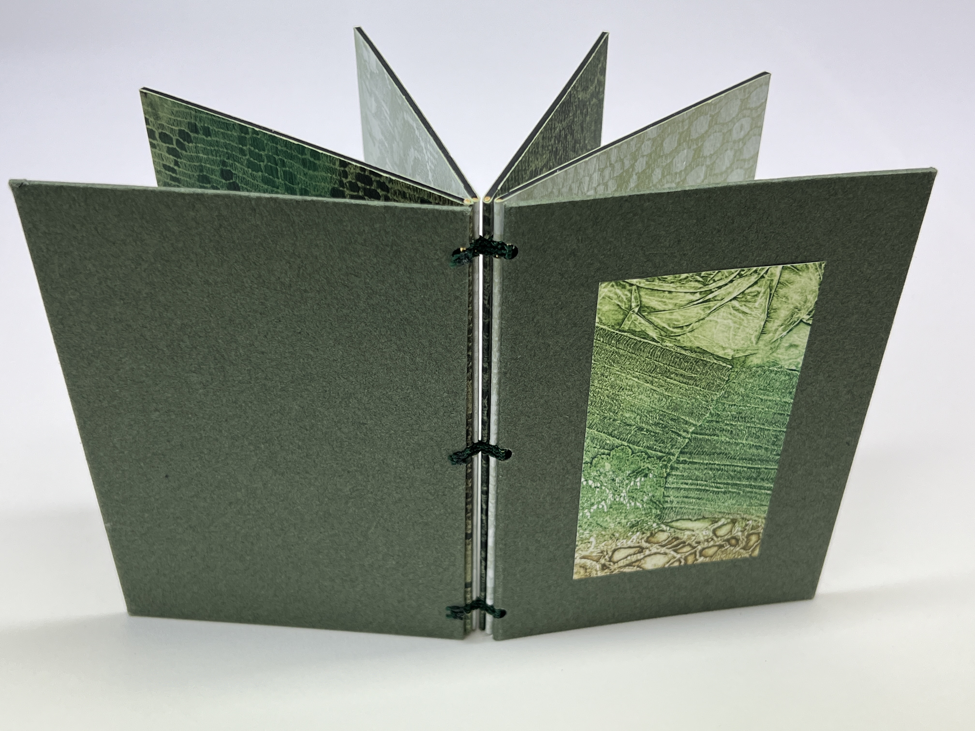 Verdant Impressions (book)