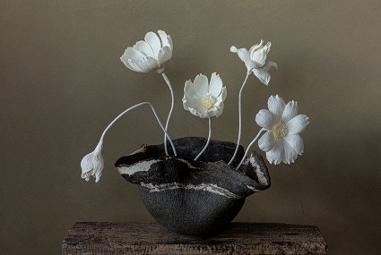 Joanna Kitchener
