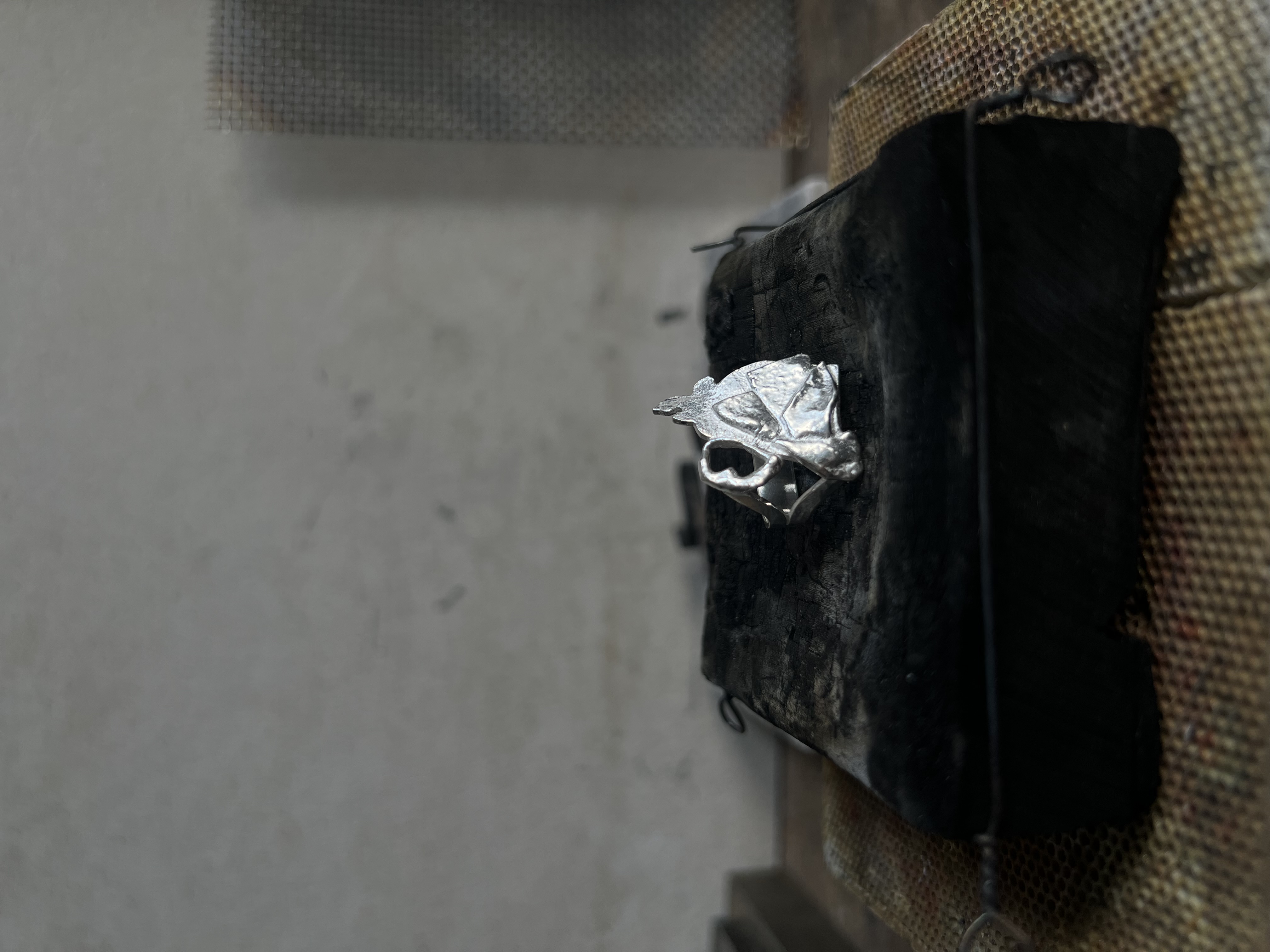 Castle ring 1